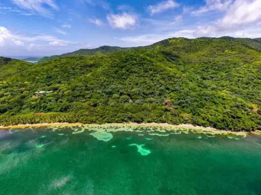 Beachfront Luxury Estate – Eco Retreat in the Caribbean