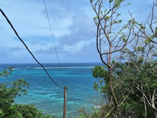 Guanaja Oceanfront Land: Hillside Homesite, East End