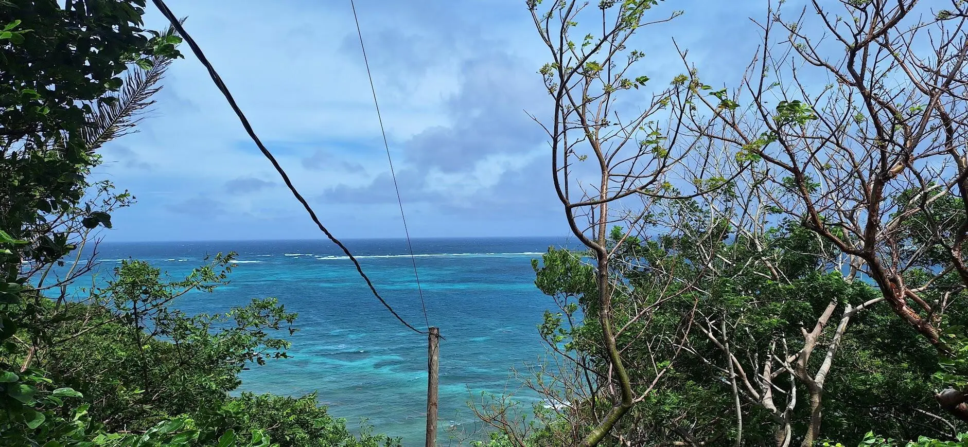 Reef and Caribbean view through the trees of the Guanaja oceanfront land